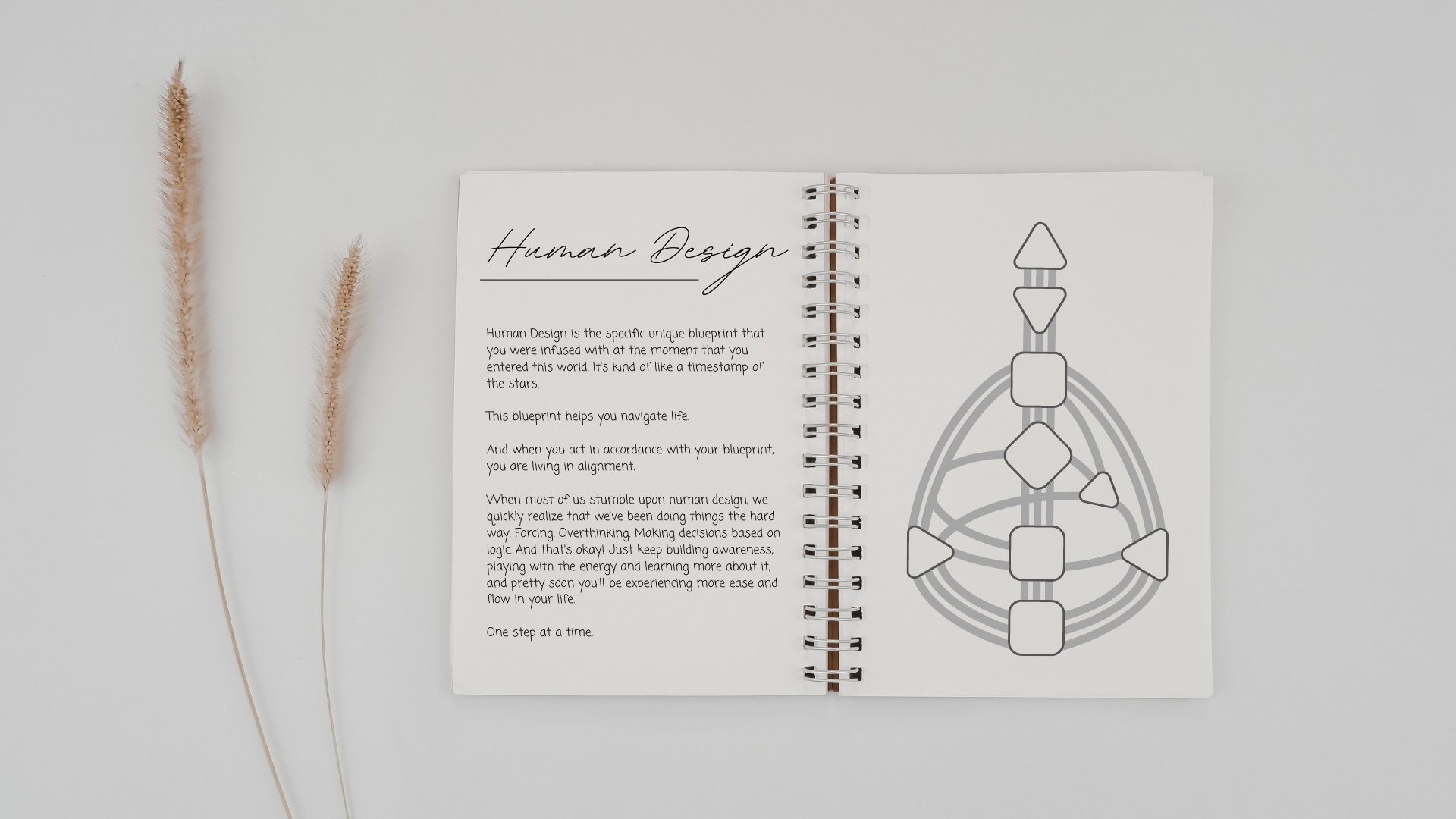 Human Design profiel